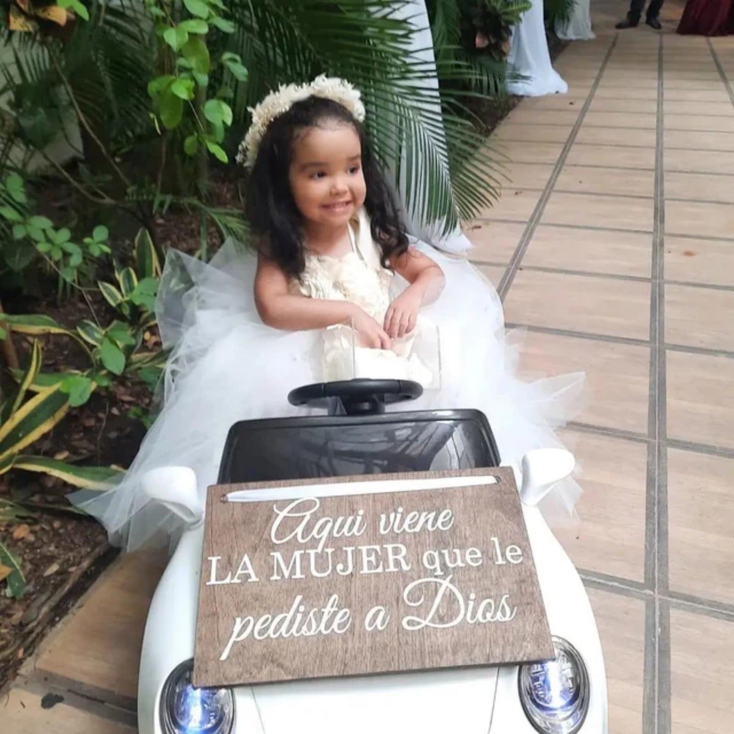 Flower Girl Basket Wedding Basket Petals basket with ribbon Acrylic Flower Holder for Confetti (Pearl)